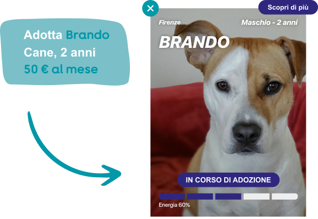 Natoolove - adotta un animale a distanza