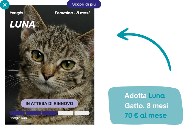 Natoolove - adotta un animale a distanza