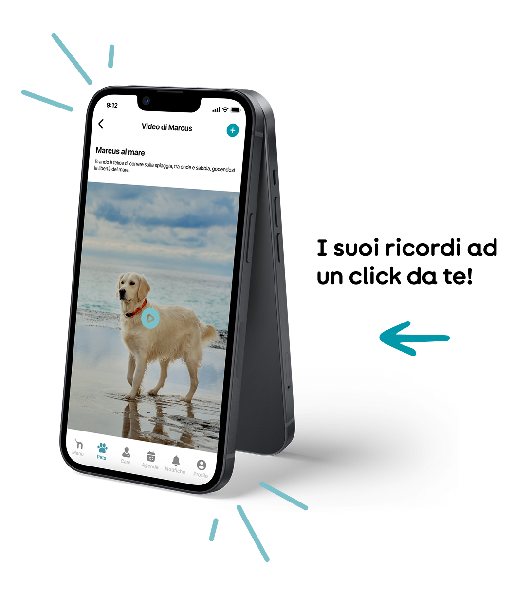 Natoola - adozione a distanza